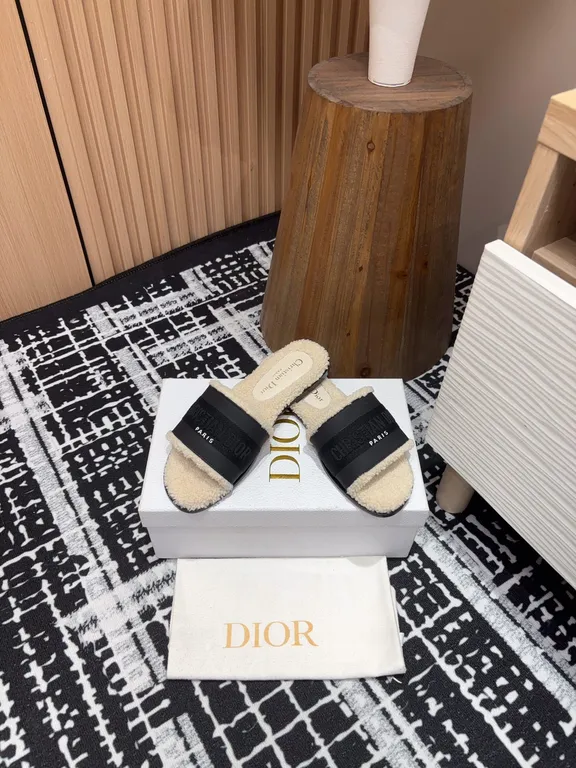 Dior Shoe 